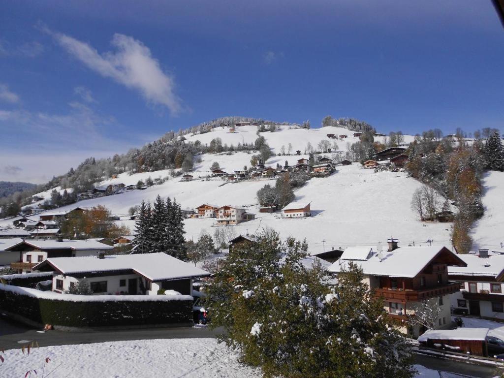 Bergwelt A2 Daire Niederau Dış mekan fotoğraf